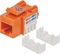 Intellinet Keystone Modul RJ-45 Buchse via Verlegekabel Cat6, orange Vorschaubild