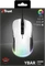 Trust Gaming GXT 922W YBAR RGB Gaming Mouse weiß/schwarz, USB Vorschaubild