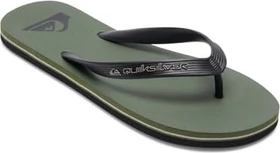 Quiksilver Molokai Core green 1 (Herren)