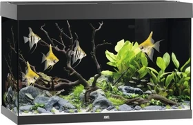 Juwel Rio 290 LED Aquarium-Set mit Unterschrank, schwarz/schwarz, 290l