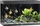 Juwel Rio 290 LED Aquarium-Set mit Unterschrank, schwarz/schwarz, 290l (02350)