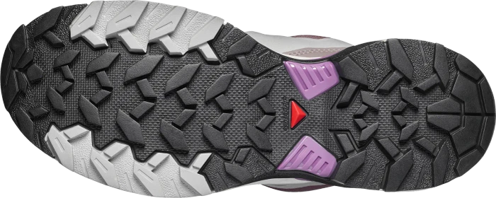 Salomon X Ultra 360 Edge GTX huckleberry/paloma/concord grape (Damen)