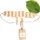Hofmeister Holzwaren Massageband 47 cm Rollfläche Buchenholz (20907)