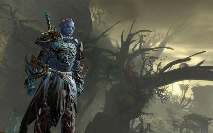 Guild Wars 2 (Download) (MMOG) (PC)