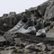 adidas Eastrail 2.0 grey three/grey one/putty mauve (Damen) Vorschaubild