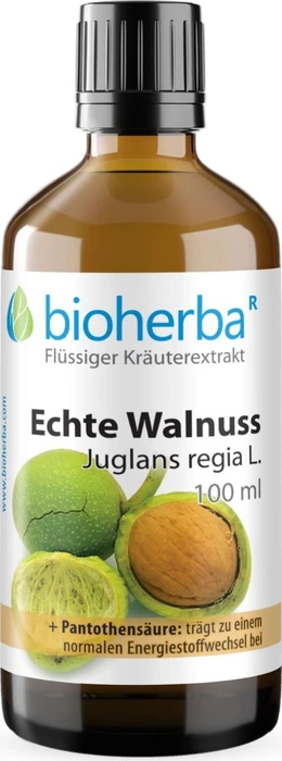 Bioherba Echte Walnuss Juglans regia L. Tropfen Tinktur, 50ml