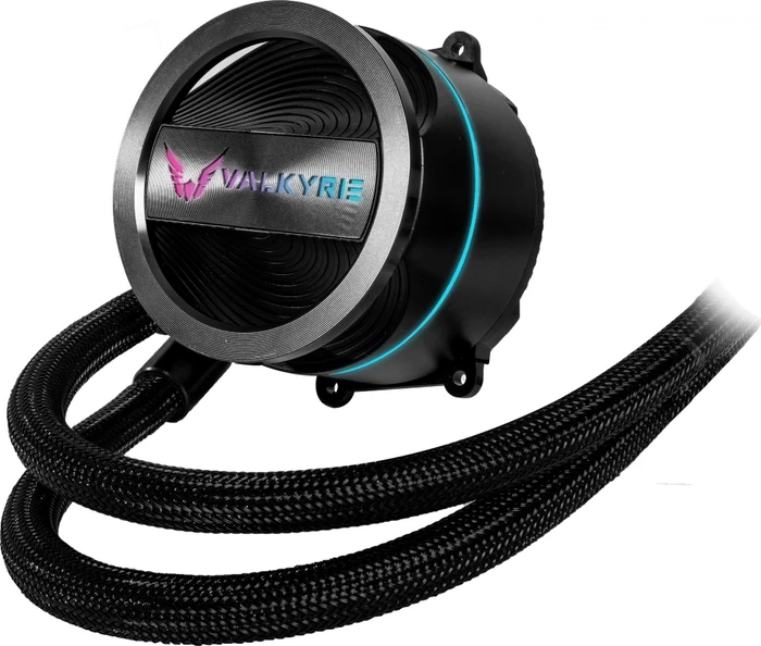 Valkyrie Dragonfang 240, schwarz