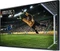 Samsung The Terrace GQ65LST7 Vorschaubild