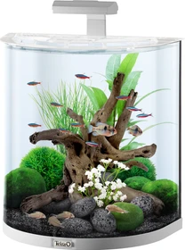 Tetra AquaArt LED Explorer Line Aquarium Komplettset 60l weiß
