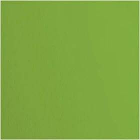 Vaessen Creative Tonkarton, 305x305mm, glatt, frog, 20 Blatt