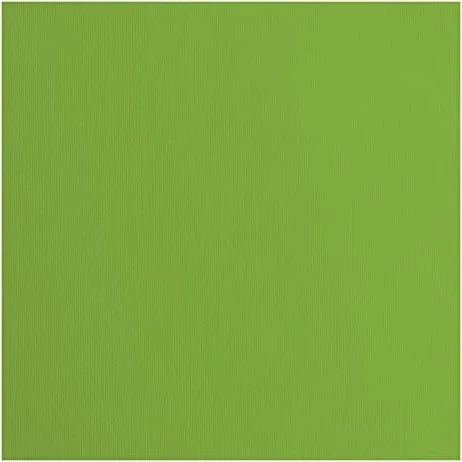 Vaessen Creative Tonkarton, 305x305mm, glatt, frog, 20 Blatt