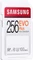 Samsung EVO Plus for Creators R100 256GB, UHS-I U3, Class 10 Vorschaubild