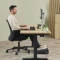 Fellowes Breyta Palm Wrist Rest, Handballenauflage (Maus), schwarz Vorschaubild