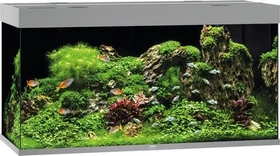 Juwel Rio 350 LED Aquarium-Set, grau, 350l