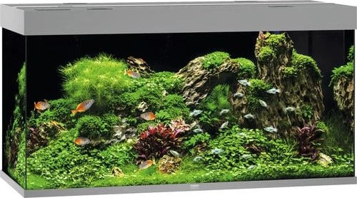 Juwel Rio 350 LED Aquarium