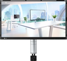 Eizo FlexScan FLT, 23.8"