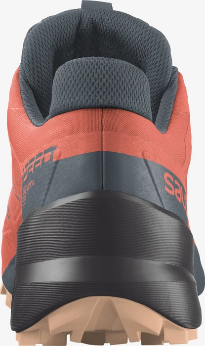 Salomon Speedcross 5 GTX persimon/phantom/almond cream (Damen)
