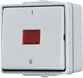 Jung WG 600 Wipp-Kontrolschalter 10AX 250V