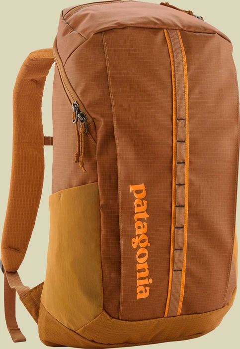 Patagonia Black Hole Pack 25
