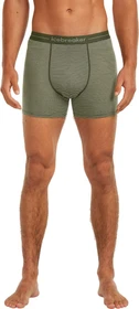 Icebreaker Anatomica Boxer Briefs lichen/dk loden (Herren)