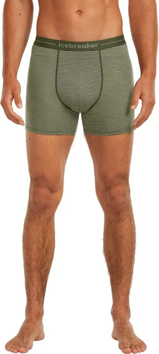 Icebreaker Anatomica Boxer Briefs lichen/dk loden (Herren)