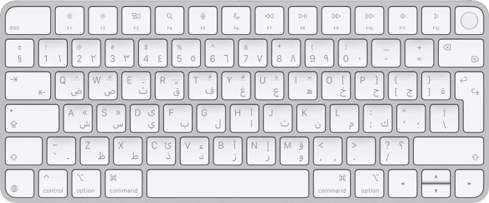 Apple Magic Keyboard mit Touch ID für Mac mit Apple Chip (USB-C), weiß/silber, USB/Bluetooth, Arabisch/EN
