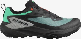 Salomon Genesis Gore-Tex north atlantic/black/sharkskin (Herren)