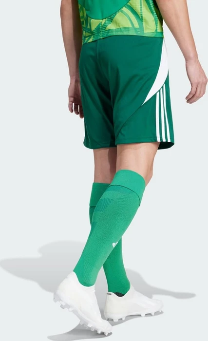 adidas Tiro 24 Shorts team dark green/white (Herren)