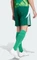 adidas Tiro 24 Shorts team dark green/white (Herren) Vorschaubild