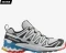 Salomon XA Pro 3D V9 GTX lunar rock/white/black (Damen) Vorschaubild