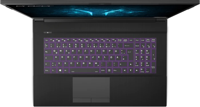 Medion Erazer Defender P10, Core i5-10300H, 16GB RAM, 512GB SSD, GeForce RTX 2060, DE