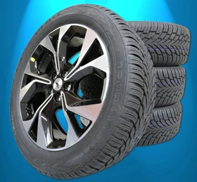 Nokian WR SUV 4 225/55 R19 103V XL