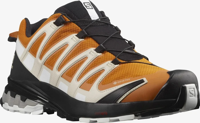 Salomon XA Pro 3D V8 GTX marmalade/rainy day/white (Herren)