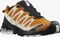 Salomon XA Pro 3D V8 GTX marmalade/rainy day/white (Herren) Vorschaubild