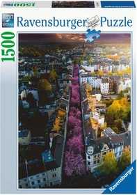 Ravensburger Puzzle Blühendes Bonn