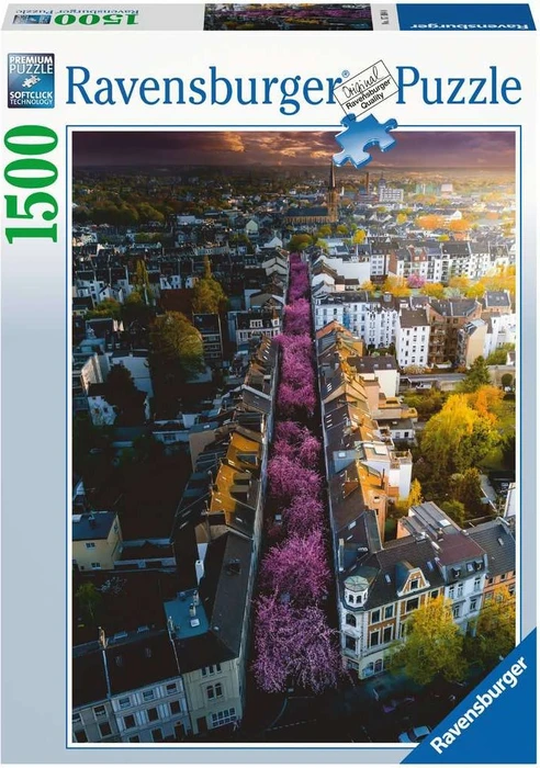 Ravensburger Puzzle Blühendes Bonn