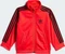 adidas Adicolor Firebird Trainingsanzug lucid red (Junior) Vorschaubild