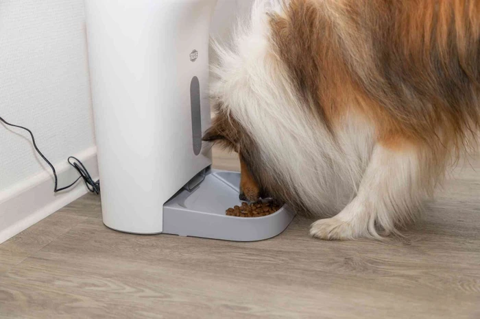 Trixie TX8 2.0 Smart Futterautomat, max. 4 Mahlzeiten pro Tag, Timer, Lautsprecher, 4.5l, weiß
