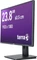Wortmann Terra LED 2456W PV V4, 23.8" Vorschaubild