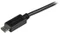 StarTech Slim-USB-A 2.0 auf USB 2.0 Micro-B Adapterkabel schwarz, 2m (USBAUB2MBK) Vorschaubild