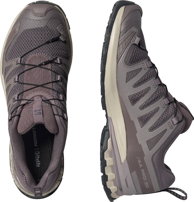Salomon XA Pro 3D V9 dark gull gray/cloudburst/asphalt (Herren)