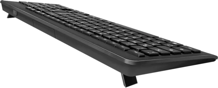 LogiLink 2.4GHz Wireless Tastatur, schwarz, USB, DE