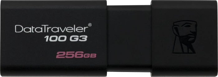 Kingston DataTraveler 100 G3 256GB, USB-A, USB 3.2 Gen 1×1