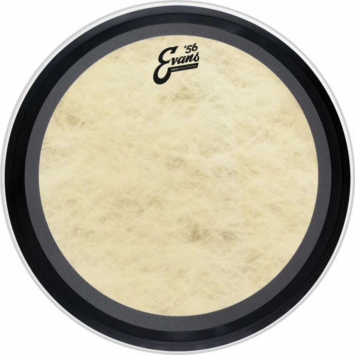 Evans EMAD Calftone Bass 22"