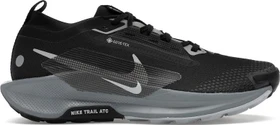 Nike Pegasus Trail 5 Gore-Tex black/cool grey/anthracite/wolf grey (Herren)
