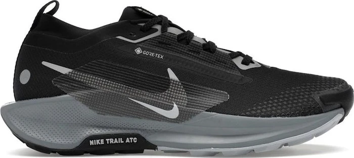 Nike Pegasus Trail 5 Gore-Tex black/cool grey/anthracite/wolf grey (Herren)