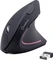 Renkforce RF-WM-322 vertikale Funkmaus schwarz, USB Vorschaubild