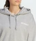 adidas Terrex Logo Hoodie medium grey heather (Damen) Vorschaubild
