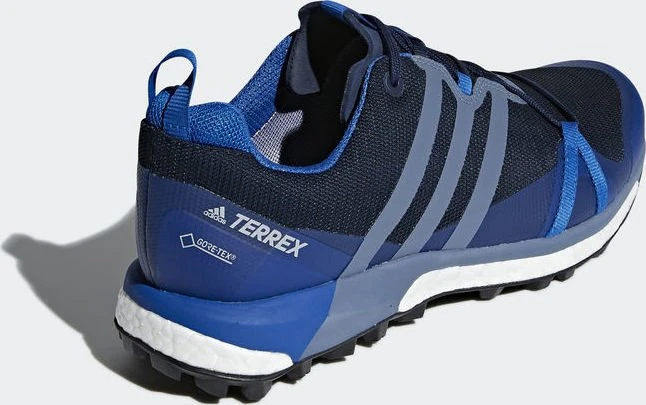 adidas Terrex Agravic GTX collegiate navy/raw steel/blue beauty (Herren)