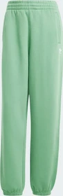 adidas Essentials Loose Trainingshose lang preloved green (Damen)